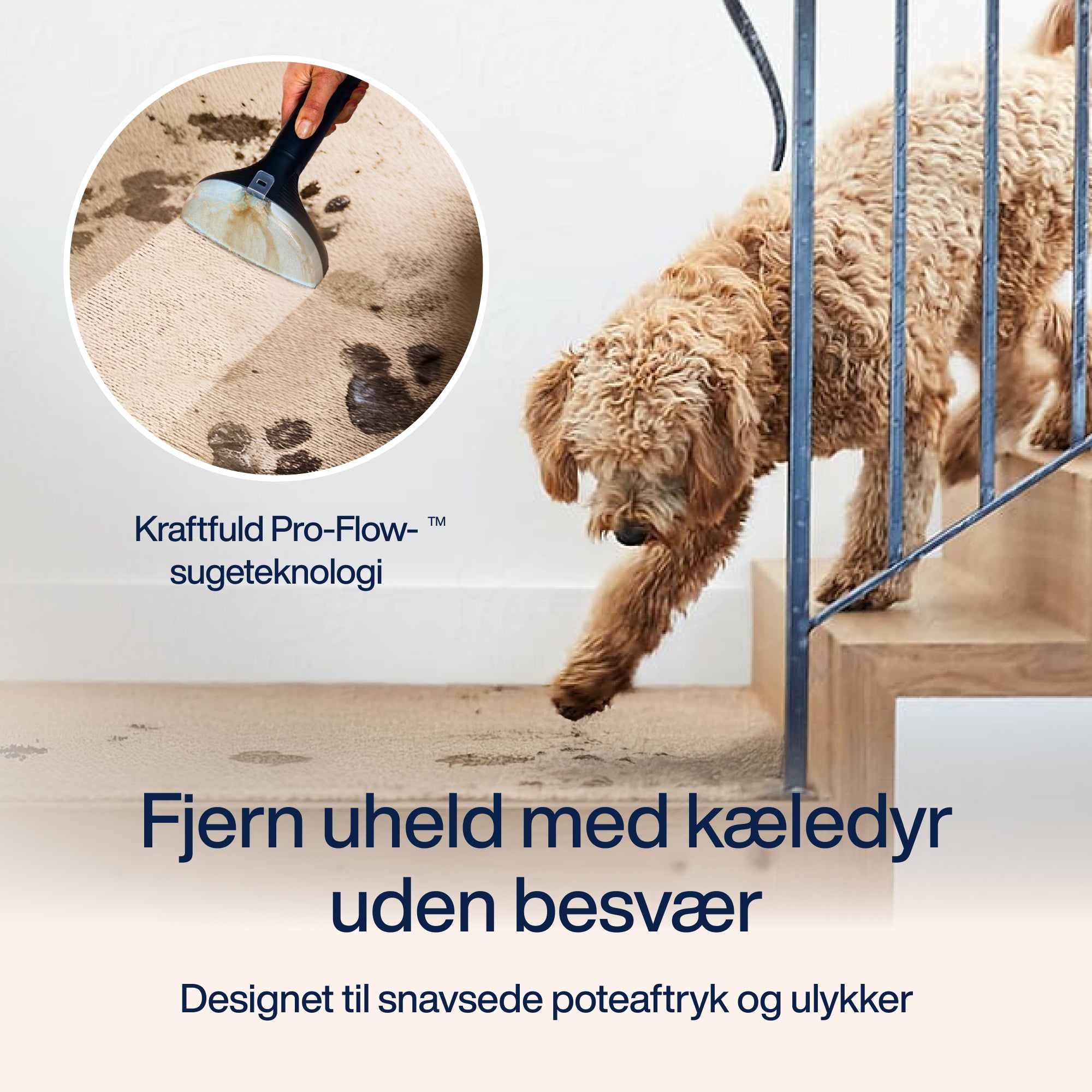 Pletfjerner PowerClean Pro - Damp & Varmt vand
